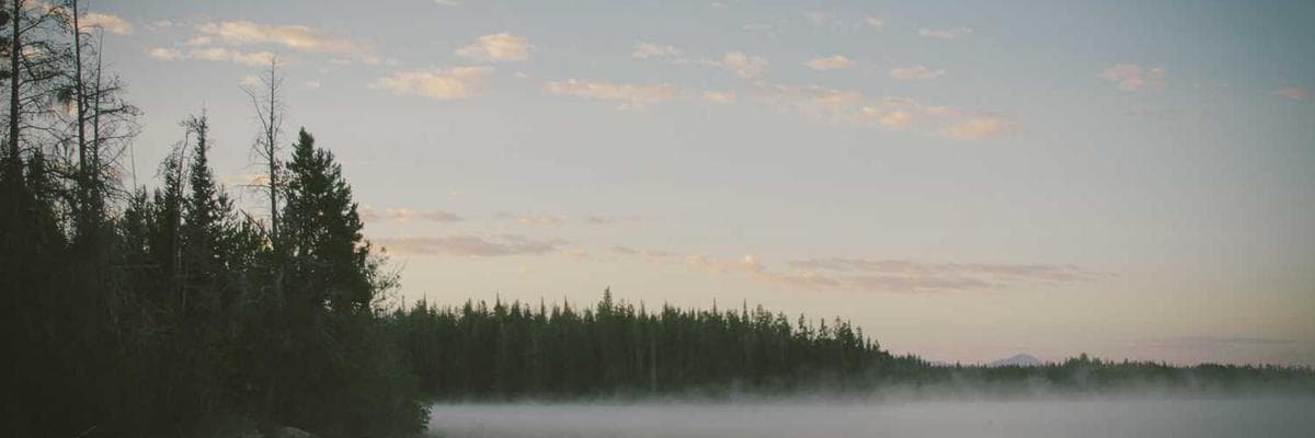 همراه با دونیت – حمایتِ واقعی